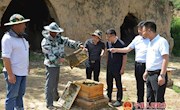 宁县：中蜂养殖“酿”出甜蜜日子