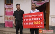 宁县：农业保险为脱贫攻坚保驾护航 