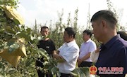 侯昌明调研宁县果沼畜循环农业综合示范点工作