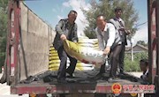 宁县：推进高标准农田建设 筑牢农民增收基石
