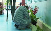 世界精神卫生日：关爱精神健康