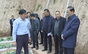 李鹏飞调研秋季农业生产工作