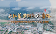 宁县：大红苹果铺就小康路