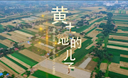 《黄土地的儿子》—宁县苹果主题曲之二