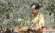 王永红：发展林下养殖 实现合作共赢