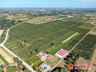 庆阳柰苑生态果业有限公司苹果基地掠影