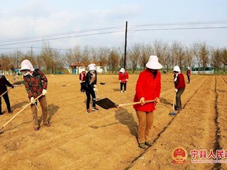 庆阳北国春农业发展有限公司组织工人在太昌镇育苗基地整理苗床