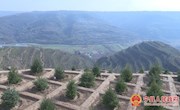 【回眸“十三五”喜看新变化】宁县生态效益、经济效益、扶贫效益同步彰显