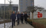 浙江省甘肃商会考察宁县苹果产业发展情况