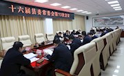 十六届县委常委会召开第73次会议