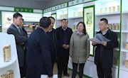 罗睿李波督查东西部扶贫协作项目实施情况