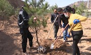 宁县县直单位机关组织开展义务植树为新春添绿