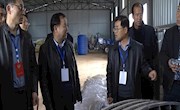 宁县政协委员视察全县苹果花期霜冻预防工作