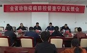 全省重大动物疫病防控督查宁县反馈会召开