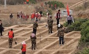 金村乡：掀起春季植树造林热潮