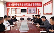 以学促干 以学促用 盘克镇政府扎实推进党史学习教育