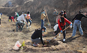 新庄镇:大力推进国土绿化 筑牢生态环保屏障