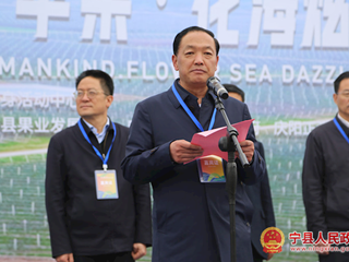 宁县举办“人类第四个苹果·花海炫宁州” 马拉松及健康跑活动