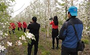 宁县举办“人类第四个苹果·花海炫宁州”主题摄影大赛