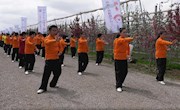 宁县举办“人类第四个苹果·花海炫宁州”田园花海太极秀活动