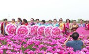 宁县：300多亩药用芍药竞相开放