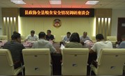 县政协调研全县粮食安全生产情况