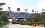 宁县庆新果业为河南新乡市捐赠20吨“庆阳苹果”