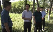 段军亮调研重点项目建设情况