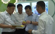 冯毅到东区乡镇和瓦斜南义调研产业发展、环境保护和生态建设等工作