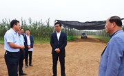 段登云在新宁、米桥、平子镇调研时强调坚守为民情怀 突出因地制宜 壮大富民产业 建设生活富裕环境优美宜居宜业美丽乡村
