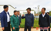 段登云在东区乡镇调研时强调 立足区域实际 壮大特色产业 努力让广大群众过上更加富裕幸福的美好生活