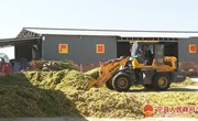 宁县：青贮饲草助推草畜产业健康平稳发展