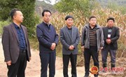 何鹏程到盘克镇指导开展灾情摸排和抢险救灾工作