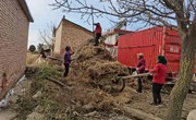 新庄镇：“三拆一治一排”掀高潮 乡村人居环境再提升