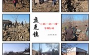 盘克镇：宣传与实干相结合 推进“三拆一治一排”行动稳步向前