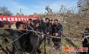 盘克镇召开2021年果业专业技术培训会