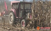 米桥镇：持续推进“三拆一治一排”专项行动，打造宜居宜业美丽乡村