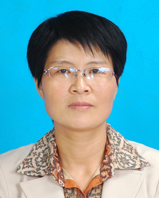 赵淡绒