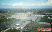 庆阳宁县：苹果产业新模式 奏响乡村振兴最强音