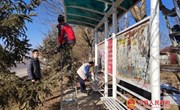 新宁镇公路沿线公交候车亭展新颜
