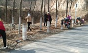 长庆桥镇“三拆一治一排 ”工作再加力