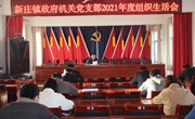 新庄镇政府机关党支部召开2021年度组织生活会