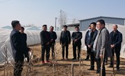 盘克镇赴春荣观摩学习金银花种植技术