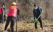平子镇开展义务植树造林活动