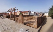 新庄镇：全员参与环境整治 携手共建美丽家园