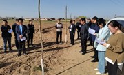 良平镇开展“三拆一治一排”专项行动观摩评比活动
