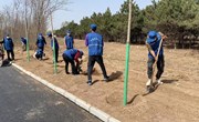 盘克司法所组织社区矫正人员参加义务劳动