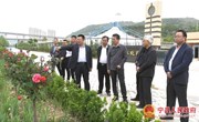 段登云督查生态环保问题整改和民生项目建设工作