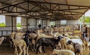 豆前锋：生态养殖走上致富路