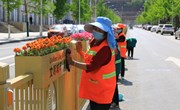 在城市有这样一群人